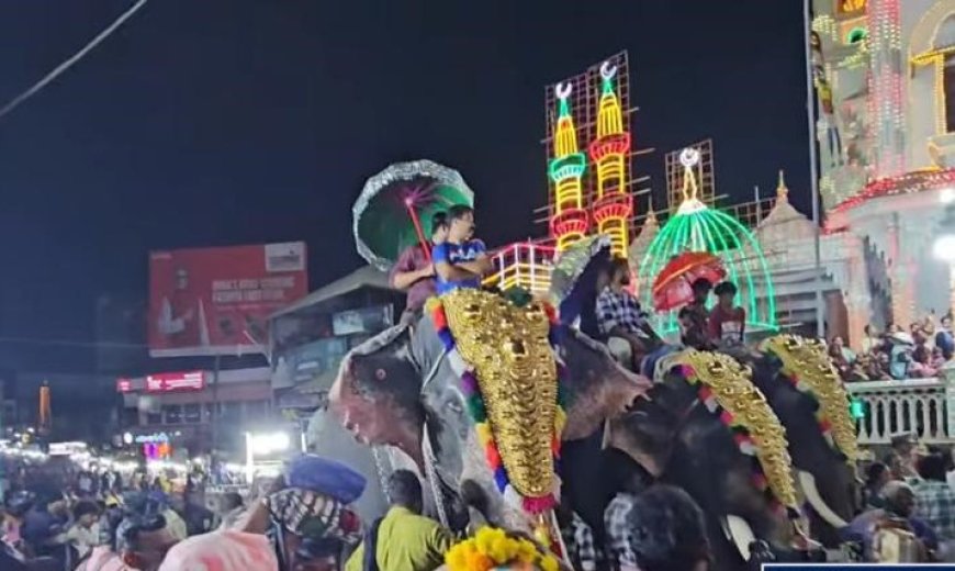 എരുമേലിക്ക് ആഘോഷരാവായി ചന്ദനക്കുട മഹോത്സവം ,അഭൂതപൂർവ്വമായ ജനത്തിരക്ക് ,ആഹ്ലാദത്തിലാറാടി ജനം