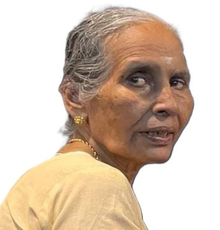 കണ്ണൂർ ചന്ദപ്പുര അക്ഷയ കേന്ദ്രം സംരംഭക നിഷയുടെ മാതാവ് വിളയങ്കോട് എം പി ദേവി (76) നിര്യാതയായി
