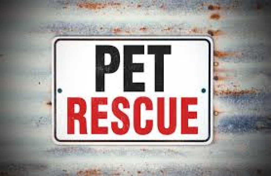 കോട്ടത്തറയില്‍  ഒരുങ്ങുന്ന രാജ്യത്തെ ആദ്യ വളര്‍ത്തുമൃഗ ദുരിതാശ്വാസ കേന്ദ്രത്തിന്റെ ഡി.പി.ആര്‍ പ്രകാശനം ചെയ്തു