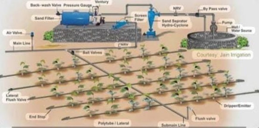 ഓരോ തുള്ളിയിലും സമൃദ്ധി: സൂക്ഷ്മജലസേചനത്തിലൂടെ കാർഷിക വിപ്ലവത്തിനൊരുങ്ങി കേരളം