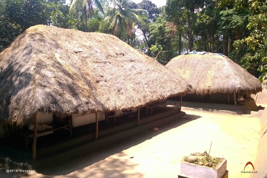 പട്ടികവര്‍ഗ്ഗ വിഭാഗക്കാര്‍ക്കെതിരെയുള്ള അതിക്രമത്തിന് കര്‍ശനനടപടി   സ്വീകരിക്കും