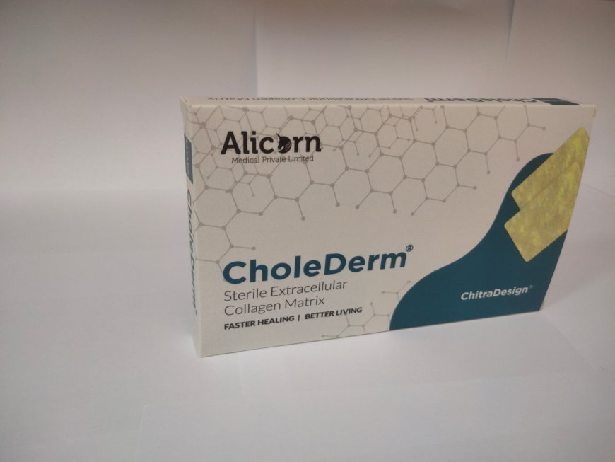 മുറിവ് ഉണക്കുന്നതിന് മൃഗ ജന്യ ടിഷ്യു ഗ്രാഫ്റ്റ് സ്കാഫോൾഡ് വികസിപ്പിച്ച് ശ്രീ ചിത്ര