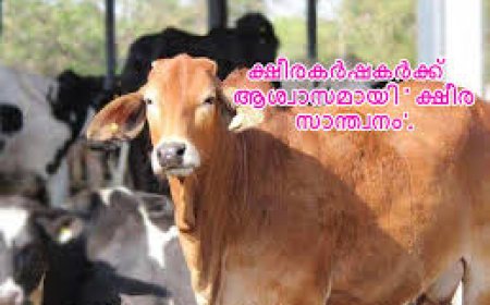 ക്ഷീരസാന്ത്വനം ഇൻഷുറൻസ് പദ്ധതി: എൻറോൾമെന്റ് ആരംഭിച്ചു