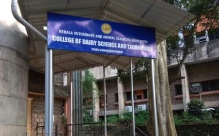 പാൽ പിരിക്കാതെയും തൈരുണ്ടാക്കാം , ​നൂതന കണ്ടുപിടിത്തത്തിന് പേറ്റന്റ് നേടി വെറ്ററിനറി സർവ്വകലാശാലയിലെ ശാസ്ത്രജ്ഞർ