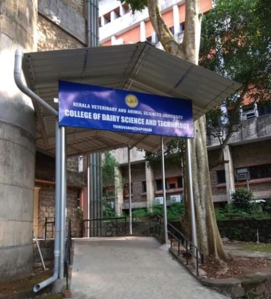 പാൽ പിരിക്കാതെയും തൈരുണ്ടാക്കാം , ​നൂതന കണ്ടുപിടിത്തത്തിന് പേറ്റന്റ് നേടി വെറ്ററിനറി സർവ്വകലാശാലയിലെ ശാസ്ത്രജ്ഞർ