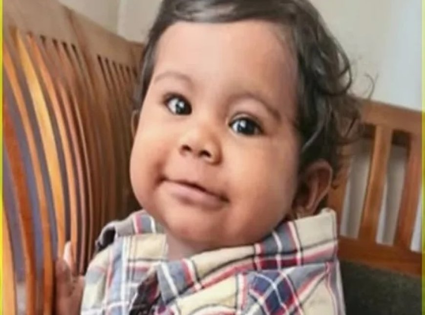 സംസ്ഥാനത്തെ ഏറ്റവും പ്രായം കുറഞ്ഞ അവയവദാതാവായി 10 മാസം മാത്രം പ്രായമുള്ള ആലിന്‍ ഷെറിന്‍