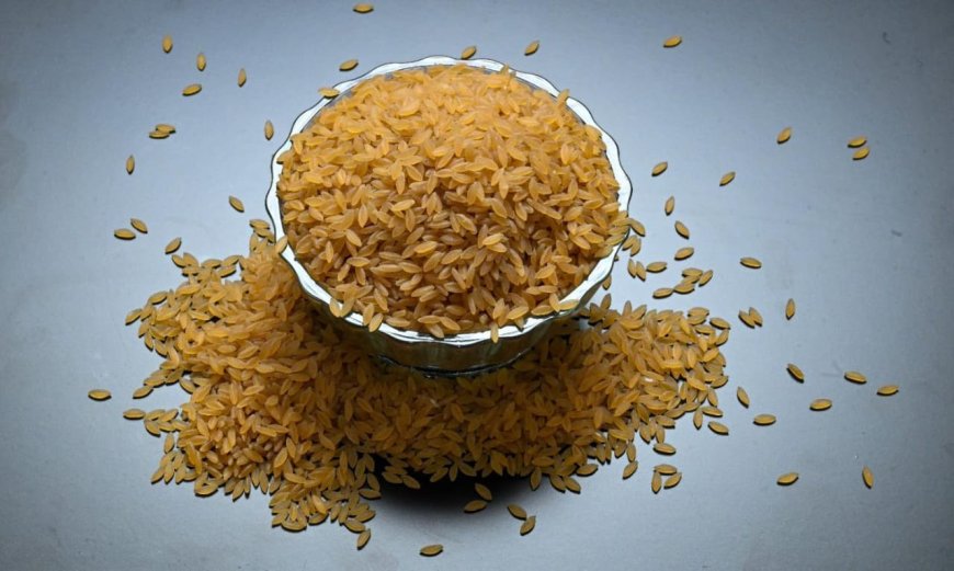 പോഷക സമൃദ്ധമായ അരി വികസിപ്പിച്ച് സിഎസ്ഐആർ-എൻഐഐഎസ്ടി നിർണായക സാങ്കേതിക വിദ്യകളുടെ കൈമാറ്റം ഫെബ്രുവരി 18 ന്