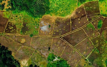 ഭൂ സേവന രംഗത്ത് രാജ്യത്തിന് മാതൃകയായി കേരളം: എന്റെ ഭൂമി ഡിജിറ്റൽ സർവെ 10 ലക്ഷം ഹെക്ടർ എന്ന ചരിത്രനേട്ടത്തിലേക്ക്