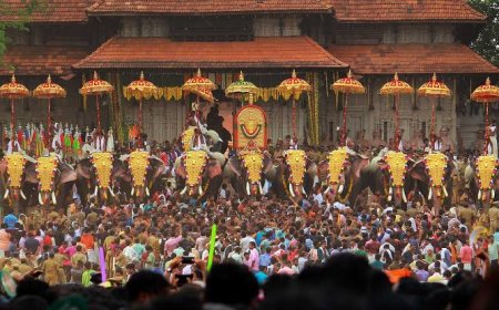 തൃശ്ശൂര്‍ പൂരം; മുന്നൊരുക്കങ്ങള്‍ വിലയിരുത്തി