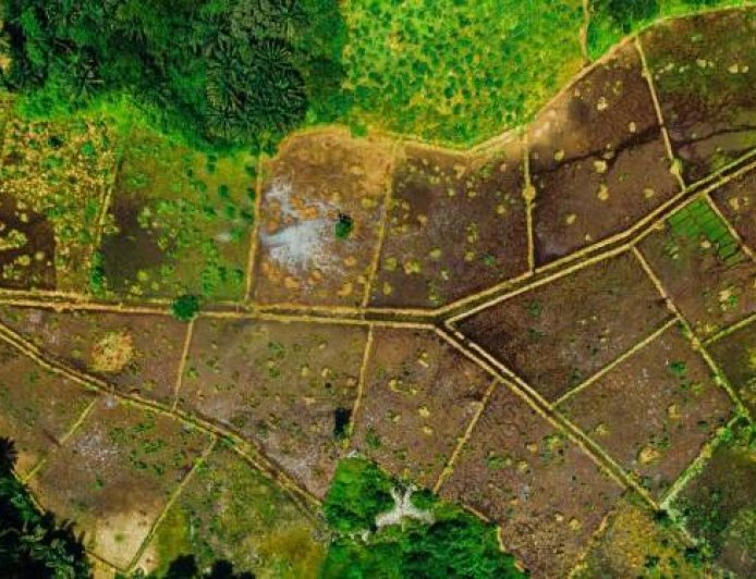 ഭൂ സേവന രംഗത്ത് രാജ്യത്തിന് മാതൃകയായി കേരളം: എന്റെ ഭൂമി ഡിജിറ്റൽ സർവെ 10 ലക്ഷം ഹെക്ടർ എന്ന ചരിത്രനേട്ടത്തിലേക്ക്