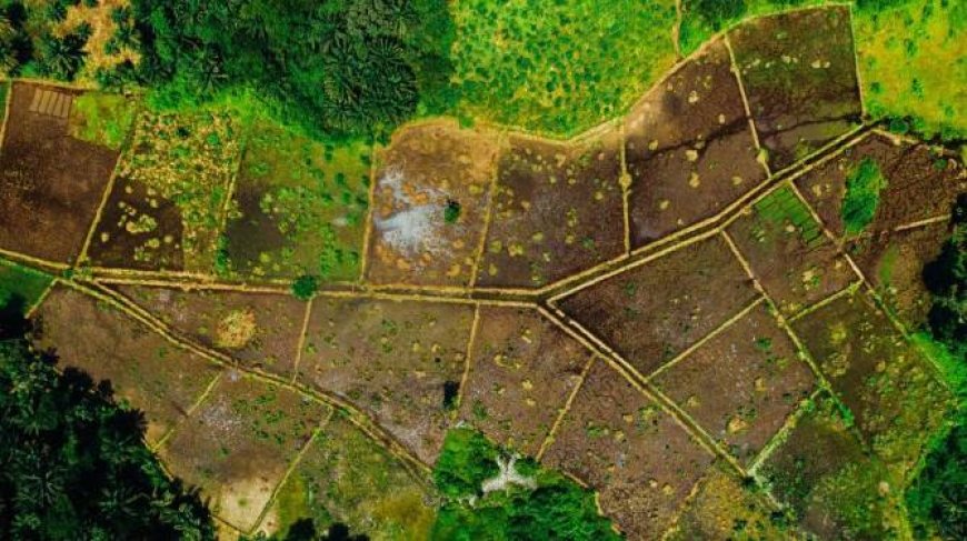 ഭൂ സേവന രംഗത്ത് രാജ്യത്തിന് മാതൃകയായി കേരളം: എന്റെ ഭൂമി ഡിജിറ്റൽ സർവെ 10 ലക്ഷം ഹെക്ടർ എന്ന ചരിത്രനേട്ടത്തിലേക്ക്