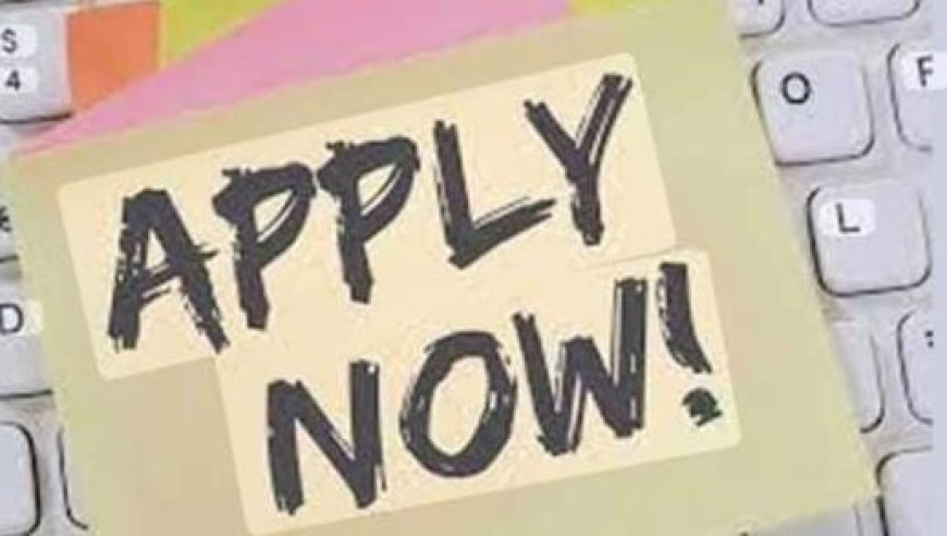 ചാർട്ടേർഡ് ഇലക്ട്രിക്കൽ സേഫ്റ്റി എൻജിനിയർ