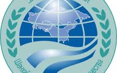 കിർഗിസ്ഥാനിൽ നടക്കുന്ന ഷാങ്ഹായ് സഹകരണ സംഘടനാ യോഗത്തിൽ ഇന്ത്യൻ പ്രതിനിധി സംഘത്തെ പ്രതിരോധ മന്ത്രി നയിക്കും