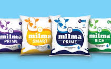 സംസ്ഥാനത്ത് മില്‍മ പാല്‍വില കൂടും; തീരുമാനം ഇന്ന്