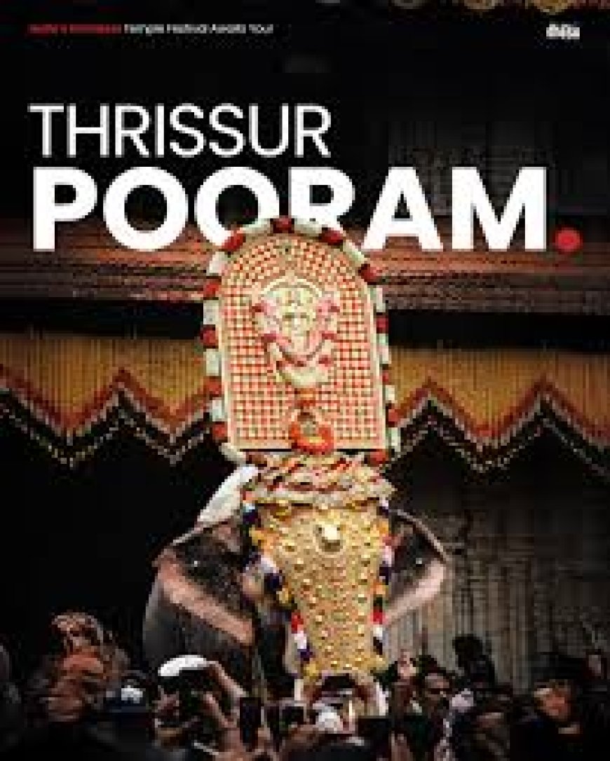 വെ​ടി​ക്കെ​ട്ട് പു​ര​യി​ലെ സ്ഫോ​ട​നം; തൃ​ശൂ​ർ പൂ​രം ആ​ർ​ഭാ​ട​ങ്ങ​ളി​ല്ലാ​തെ ന​ട​ത്താ​ൻ ആ​ലോ​ച​ന