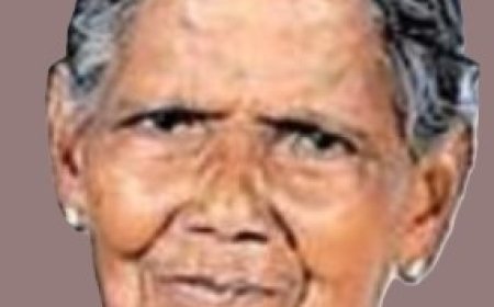 മണിമലയിൽ നിയന്ത്രണം വിട്ട  കാർ വൈദ്യുതത്തൂണിലിടിച്ച് 95 വയസ്സുകാരി വയോധിക മരിച്ചു.