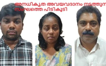 അനധികൃത അവയവദാനം നടത്തുന്ന സംഘത്തെ പിടികൂടി
