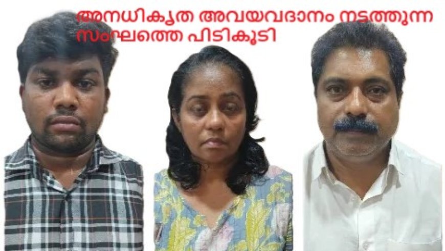 അനധികൃത അവയവദാനം നടത്തുന്ന സംഘത്തെ പിടികൂടി