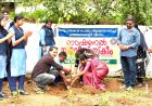 മൂലങ്കാവ് സ്കൂളിൽ നക്ഷത്രവനം പദ്ധതി