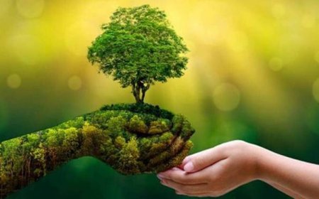 സംസ്ഥാന പരിസ്ഥിതിമിത്രം പുരസ്‌കാരങ്ങൾ - 2026 പ്രഖ്യാപിച്ചു