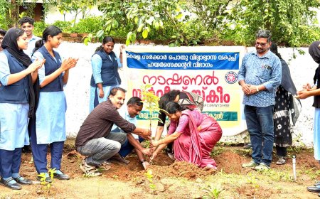 മൂലങ്കാവ് സ്കൂളിൽ നക്ഷത്രവനം പദ്ധതി