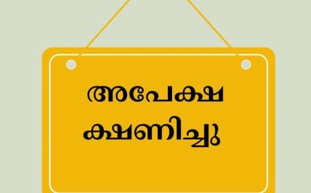വിഷന്‍ പദ്ധതി അപേക്ഷ ക്ഷണിച്ചു