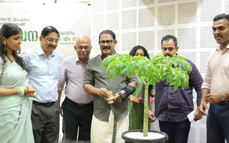 'പുനർജീവന മധുരം' പദ്ധതി : മധുരക്കിഴങ്ങ് അധിഷ്ഠിത മൂല്യവർധിത ഉൽപ്പന്നങ്ങൾ പുറത്തിറക്കി ഐസിഎആർ-സിടിസിആർഐ
