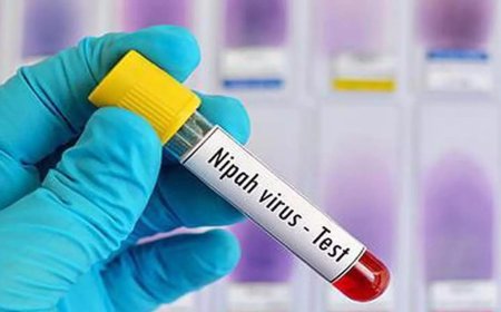 നിപ - നിരീക്ഷണത്തിനായി പ്രവേശിപ്പിച്ചിരുന്ന എല്ലാവരും ആശുപത്രി വിട്ടു