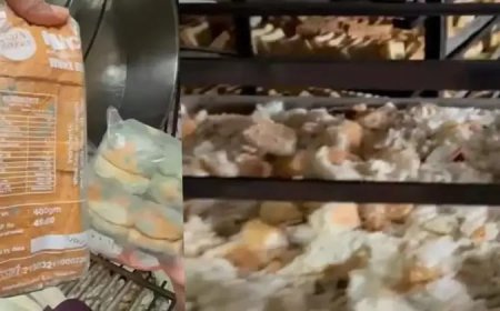പൂത്ത ബ്രെഡ് ചൂടാക്കി റസ്‌കാക്കും; മലപ്പുറത്ത് വൃത്തിഹീനമായി പ്രവർത്തിച്ച ബ്രെഡ് നിർമാണ കമ്പനി ആരോഗ്യവകുപ്പ് പൂട്ടിപ്പിച്ചു