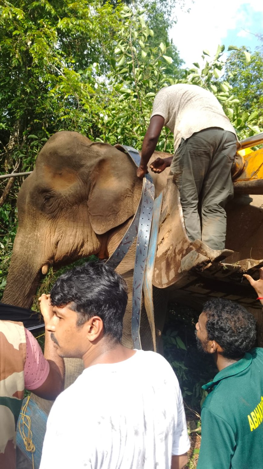 ജനവാസമേഖലയിൽ ഭീതിപരത്തിയ കാട്ടാനയെ മയക്കുവെടി വെച്ച് റേഡിയോ കോളർ ഘടിപ്പിച്ചു; കരിമ്പാനി വനമേഖലയിലേക്ക് തിരിച്ചുവിട്ടു