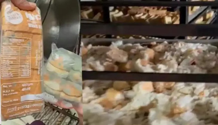 പൂത്ത ബ്രെഡ് ചൂടാക്കി റസ്‌കാക്കും; മലപ്പുറത്ത് വൃത്തിഹീനമായി പ്രവർത്തിച്ച ബ്രെഡ് നിർമാണ കമ്പനി ആരോഗ്യവകുപ്പ് പൂട്ടിപ്പിച്ചു