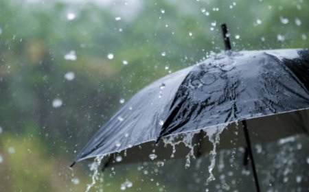 കേരളത്തിൽ കേന്ദ്ര കാലാവസ്ഥ വകുപ്പിന്റെ അടുത്ത 5 ദിവസത്തേക്കുള്ള മഴ സാധ്യത പ്രവചനം