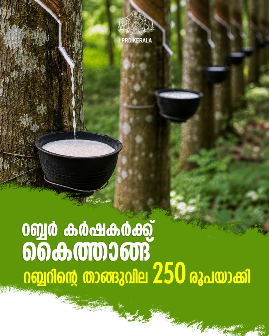 റബ്ബർ കർഷകർക്ക് കൈത്താങ്ങ്, റബ്ബറിന്റെ താങ്ങുവില 250 രൂപയാക്കി