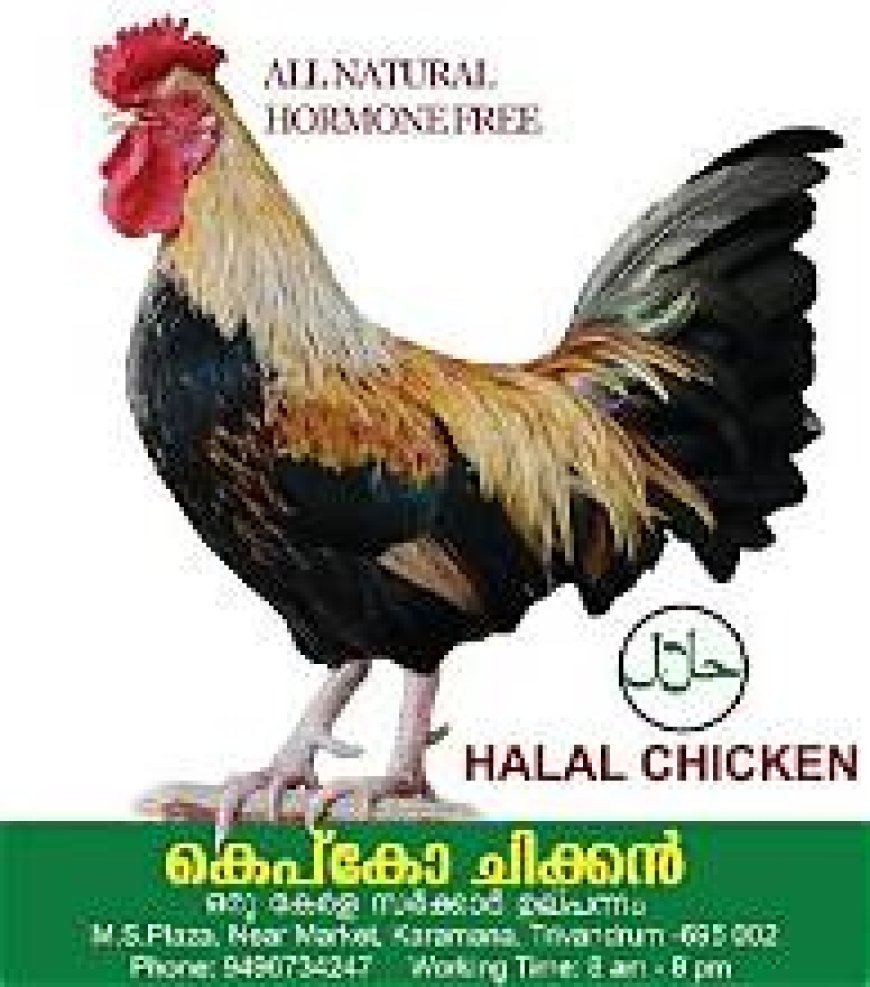 കെപ്കോ ചിക്കൻ ഏജൻസികൾക്ക് അപേക്ഷ ക്ഷണിച്ചു