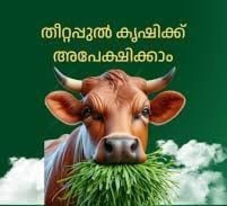 തീറ്റപ്പുല്‍ കൃഷി: അപേക്ഷാ തീയതി നീട്ടി