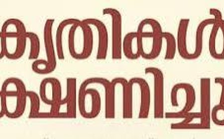 ബാലസാഹിത്യ ഇൻസ്റ്റിറ്റ്യൂട്ടിന്റെ ബാലസാഹിത്യ പുരസ്കാരങ്ങൾക്ക് കൃതികൾ ക്ഷണിച്ചു